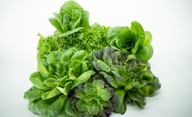 Lettuce Product